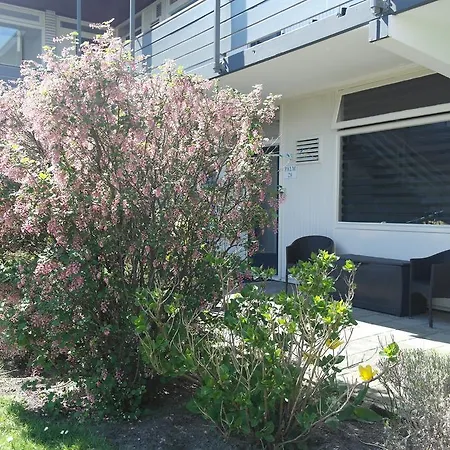 Dijk Apartament *